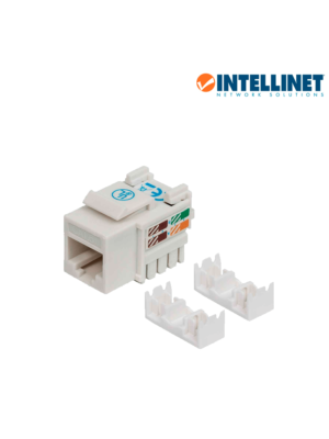 Intellinet 210591