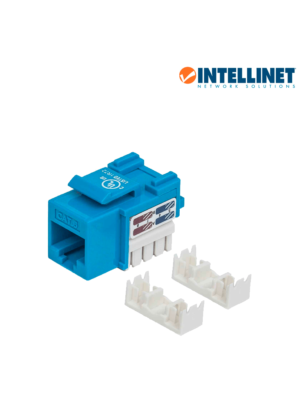 Intellinet 210737