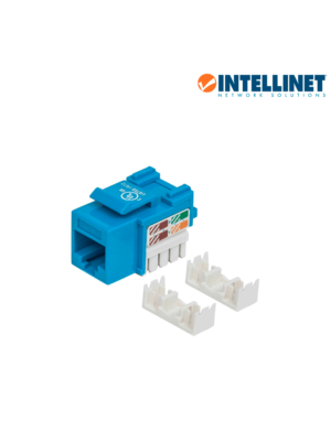 Intellinet 210546