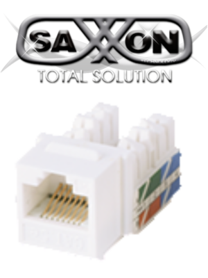Saxxon m265-6 white