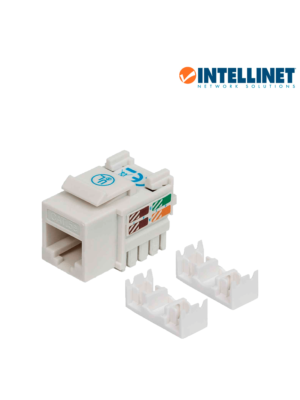 Intellinet 210355