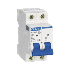Pastilla para Riel Din, 2 Polos, 10 Amp, Vca:110/415v, 6kA, Catálogo: NXB632PC10, Serie: NXB-63.
