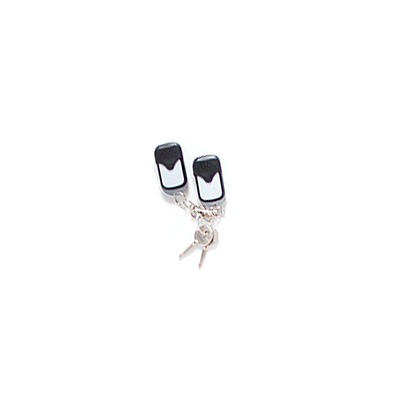 Accesspro xb-pctl Control Adicional para XBPARK200